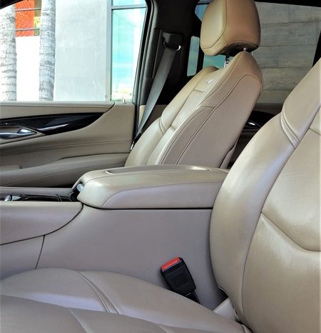 CADILLAC ESCALADE ESV 2020 SUV AWD V8 6.2LTS full